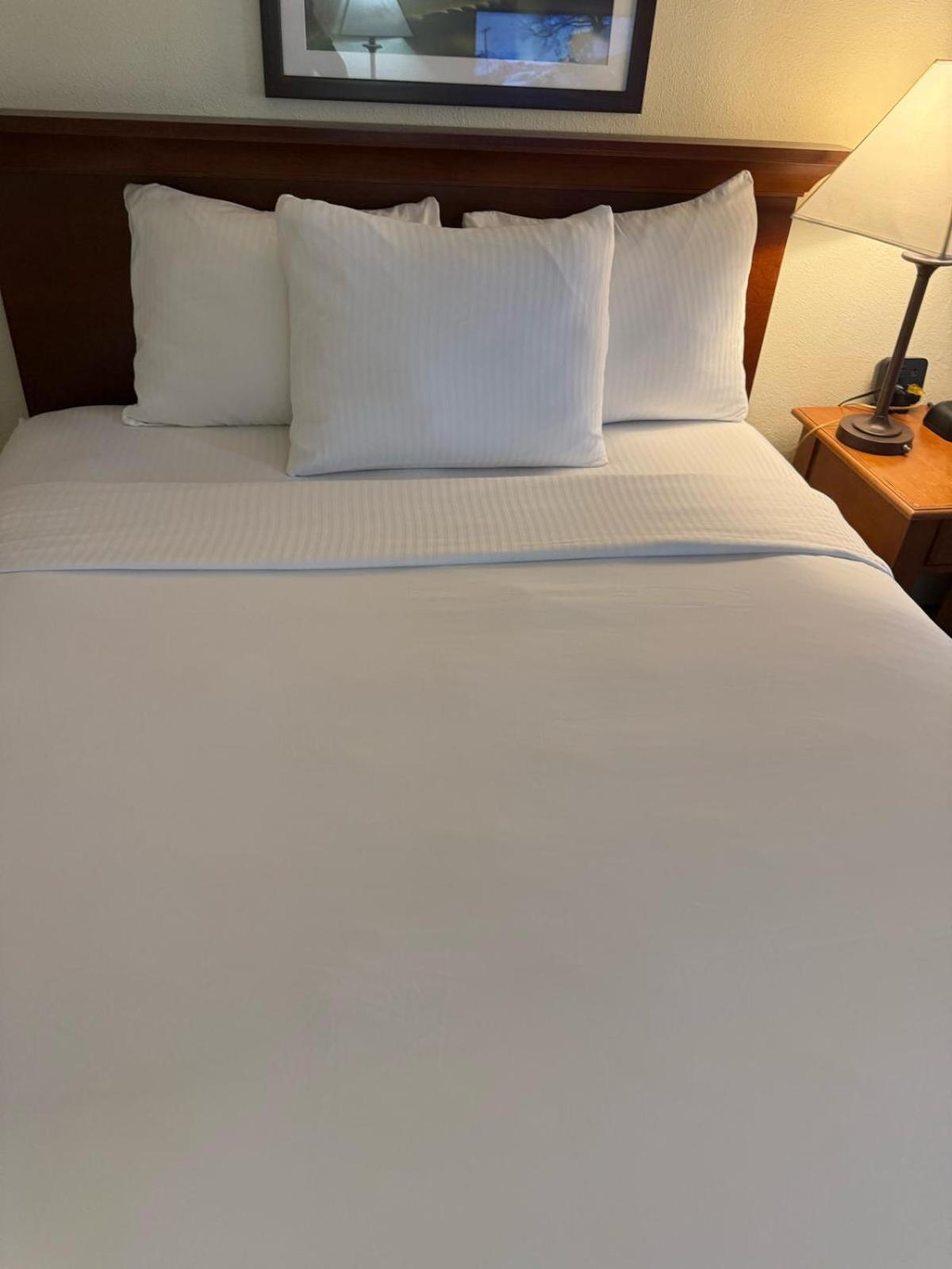 La Quinta By Wyndham Stamford / New York City Exteriör bild